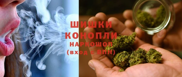 шишки Алексин