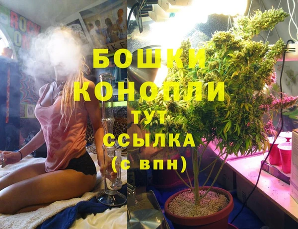 мет Алзамай